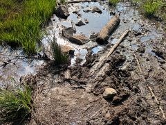 -会稽山峡洞漂流-上青古道