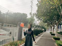 -金陵中学(河西分校)