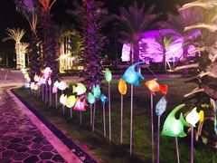 -三亚海昌梦幻海洋不夜城