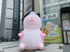 -龙湖南京河西天街