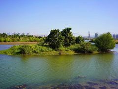 -芒洲湿地公园
