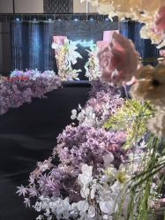 -南京富力万达嘉华酒店·宴会厅