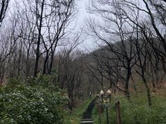 -句容茅山景区