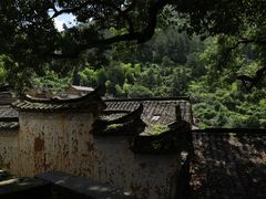 -杨家堂村