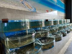 -蓝珊甄选海鲜自助·火锅大排档(近阿那亚店)