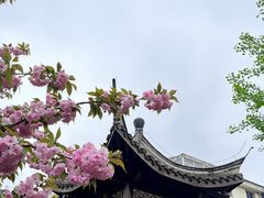 -梦溪园(中营街)