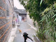 -扬州东关街文昌阁桔子水晶酒店
