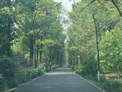 -顺鑫绿色度假村