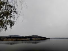 -羊山湖公园