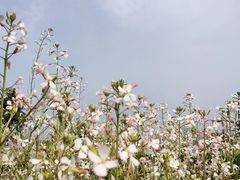 -仙海旅游度假区