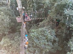 -西双版纳原始森林公园