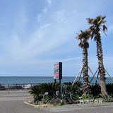 济州岛机场附近黑猪肉真好吃！