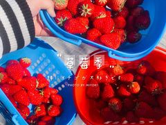 -1982农场