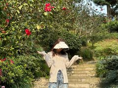-南山植物园