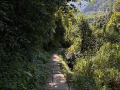 -峨眉山风景名胜区