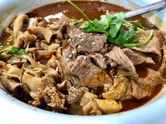 -美的鹭湖探索王国