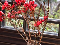 -杭州西湖柳莺里酒店·闻莺厅