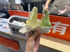 -野人先生现做冰淇淋(西安赛格店)