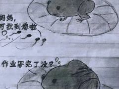 -核桃碳烤肉馆(深圳首店)