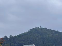 -顺峰山公园