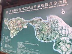 -中国科学院西双版纳热带植物园