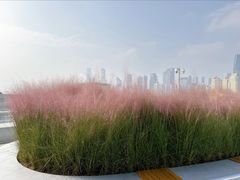 -人间采蜜(海信广场店)