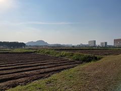 -光明小镇欢乐田园