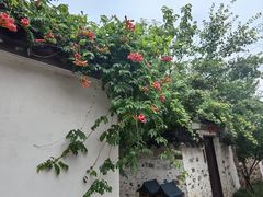 -巡塘古镇
