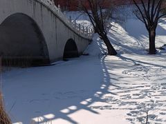 -二一九公园