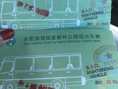 -合肥滨湖国家森林公园