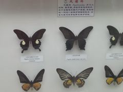 -陕西自然博物馆