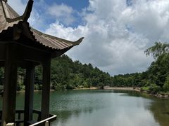 -四明山国家森林公园