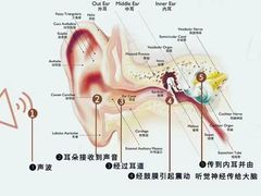 -自然之声助听器·呼吸机(翠微大厦店)