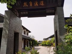 -大塘金香草谷