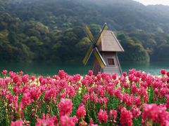 -广州市石门国家森林公园