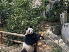 -深圳野生动物园