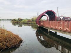 -芒洲湿地公园