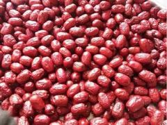 iphone_upload_pic-加顺农场餐厅