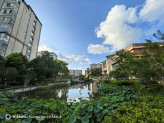 -梧桐人家中国太平国际健康颐养社区