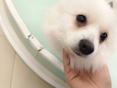 -怪兽屋·羊驼·猫咖·狗咖(俊华广场店)