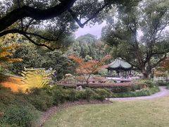 -申粤轩酒楼·三十年粤菜经典(丁香花园店)