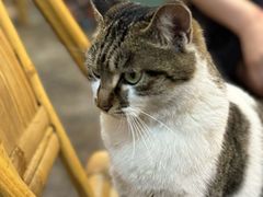 -铜瓢江湖兔火锅(水碾河社区店)