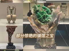 -天津自然博物馆