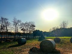 -嘉北郊野公园