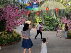 -新加坡飞禽公园