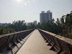 -金鸡岭桥头公园