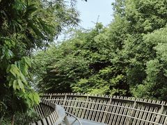 -福道
