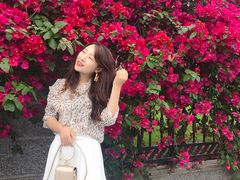 -四川大学(华西校区)