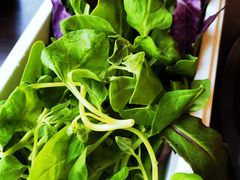 山茅野菜组合-滇釜火锅·能喝汤的火锅(车公庄店)