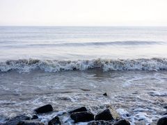 -盐城丹顶鹤湿地生态旅游区